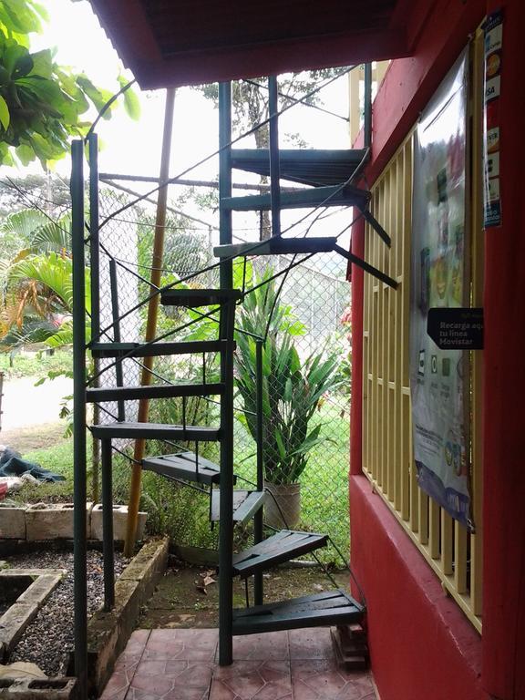 La Ballena Roja Guest House And Cafe Uvita Rom bilde